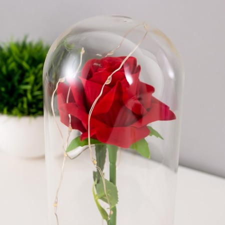 Spinker "Sobe with a scarlet rose" LED from batteries 3AAA 19.5x9.5x9.5 cm Risalux-5