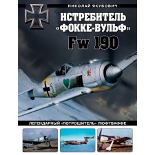 Focke-Wulf fighter FW 190. The legendary 