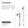 Sticks for Scandinavian walking online, telescopic, 3 sections, up to 135 cm, 2 pcs., Mix color