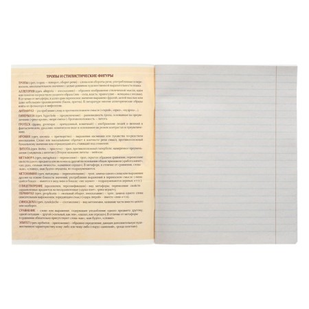 Substantial notebook Calligrata "Metal", 48 sheets in the line of literature, with reference material, cover coated cardboard, block No. 2, whiteness 75% (gray sheets)-1
