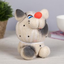 Growing gift Eco -Zhizhivchik 