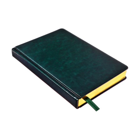 Dated diary of 2025, A5, 168 sheets in the ruler, leatherette "Nebraska", gold cut, green-3