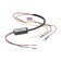 Stabilizer voltage controller DRO 12 V