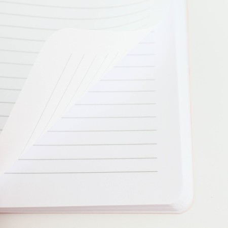 Diary A5+, 100 l. Soft region. SOFT-Tach "Pink"-3
