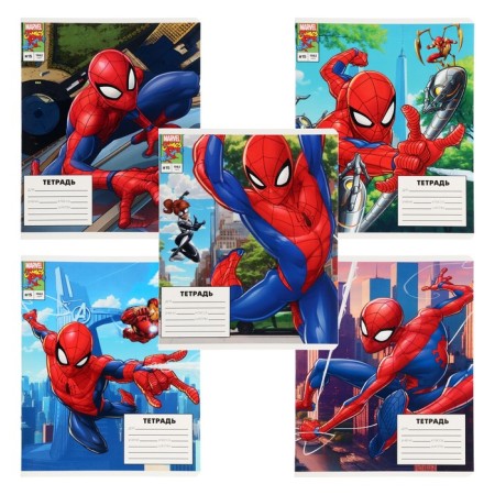 Notebook in a cage 12 sheets, 5 types of mix, cover coated cardboard, spider-man-2