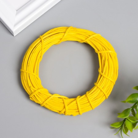 Ring Roadan for making Dreams Snolnoye catcher d = 10 cm