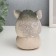 Growing gift Eco -Zhizhivchik "cat novel" mix