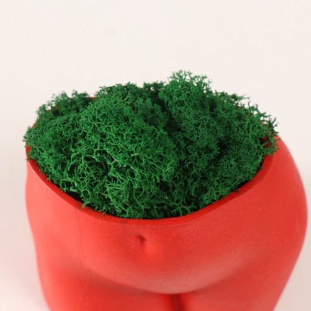 Interior subject "Innocent View" Height 7cm, width 8.5 cm red with moss (moss green. Stub 1041209-4