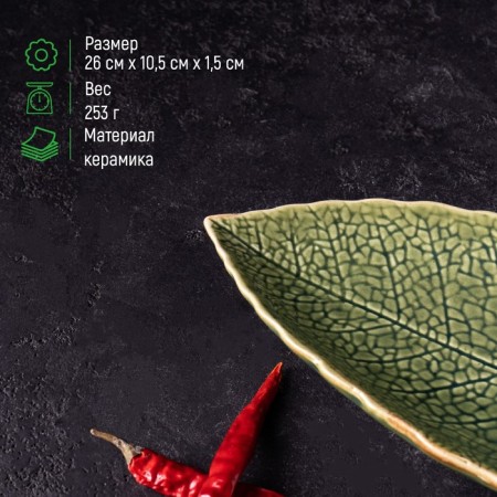 Ceramic serving dish "Dender", 26 × 10.5 × 1.5 cm, green color-1
