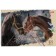 Album for drawing A4, 48 sheets on the range of "Assorted", cover Cover Cardboard, block 100 g/m2, perforation for separation, mix