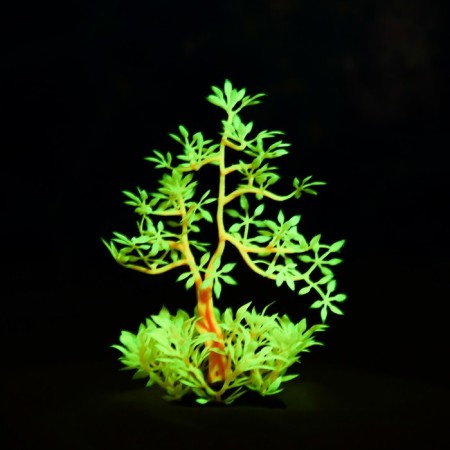 The artificial aquarium, luminous plant, 10 cm, red-4