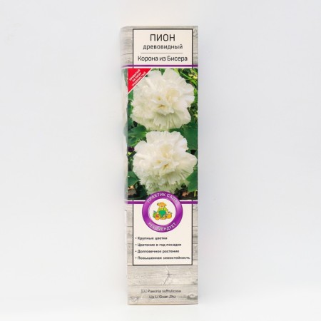 Pion tree peony (vaccinated on grassy) "Crown from beads", 1 pc, tube, spring 2025