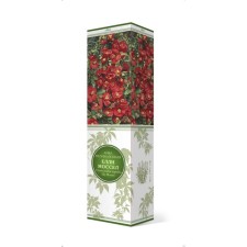 Aiva magnificent (Henomeles) 