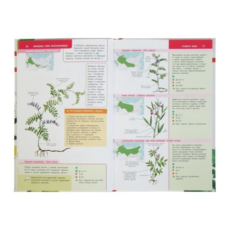 Plants of Russia. The best determinant.-4