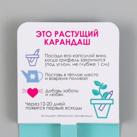 Growing gift pencils mini vitamin treasure "Mint"-2