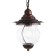 Sadovo-park lamp Feron PL595, IP44, E27, 60 W, 195x195x885 mm, brown color