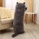 Soft toy-podushka "kitten", 110 cm, dark gray color