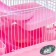 A cage for small rodents "Pigzon", with a filling, 23 x 17 x 40 cm, pink