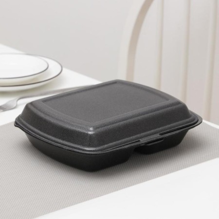 Single lunch box, 24.7 × 20.6 × 7 cm, 2 sectional, black color-1