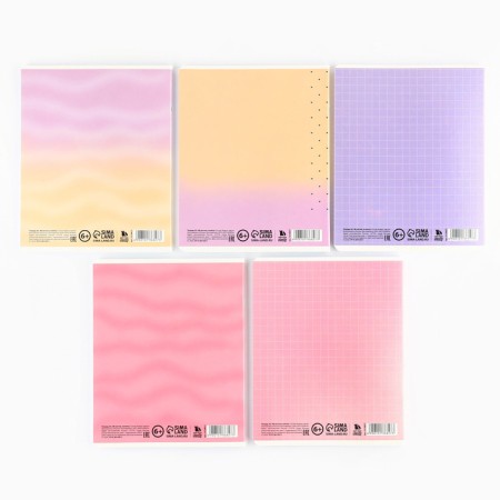 Notebook in a cage, 48 sheets A5 on a paper clip 5 pcs., Inner block No. 1 Mix “September 1: a cat with the paws” Twin Laca, UV lacquer-9