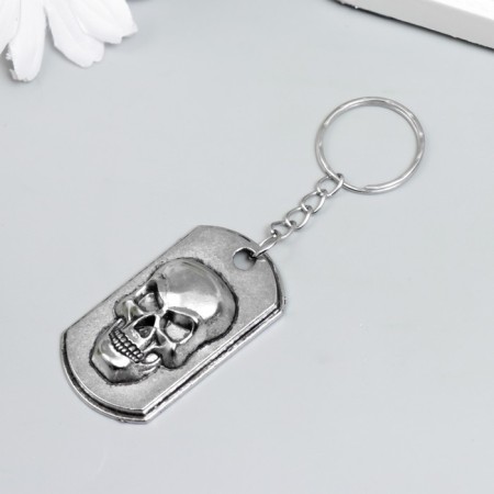 Trick Metal "Token with a skull" silver 5x2.5 cm-1