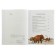 Ancient world. Hardman Sh., Steel F., Teims R.