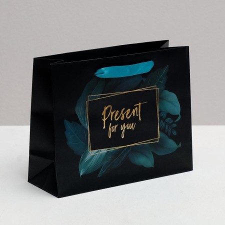 Gift Laminated Horizontal Package, Packaging, Present for You, 22 x 17.5 x 8 cm-1