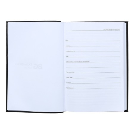 Diary of Leduced A5, 136 sheets in the "silhouette" line, solid cover, lamination Soft Touch, foil embossing, offset block 60 g/m2-3