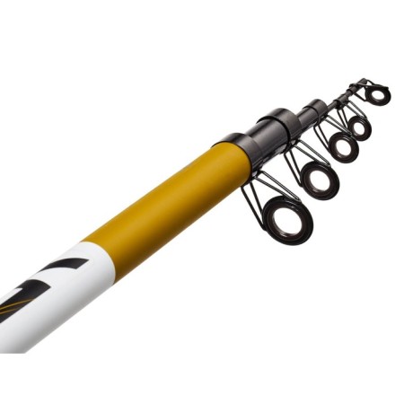 The float rod with the Salmo Blaster Tele Pike rings, test 10-100 g, length 3.6 m.-3