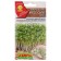 Seeds microwave Kors-Salat Mix, 5 g