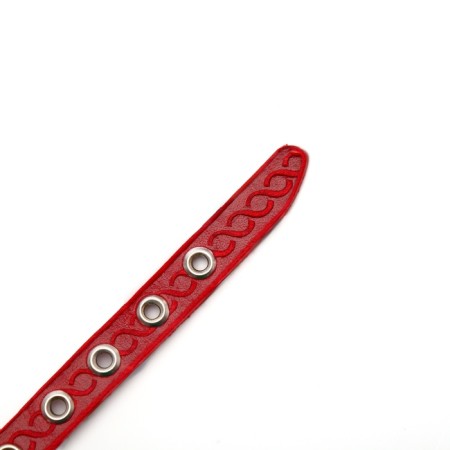 Collar of a single-layer leather unsyted, 1.2 cm, Osh 20-26 cm, mix of colors and types-5