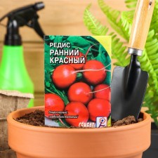 Seeds Radis 