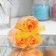 Soap roses, orange, set of 3 pcs.