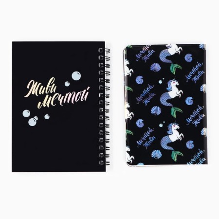 Set "Fairytale": Diary 40l, passport cover-4