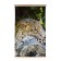 Crimea heater 448/2 leopard, infrared, 400 watts, 15 m²