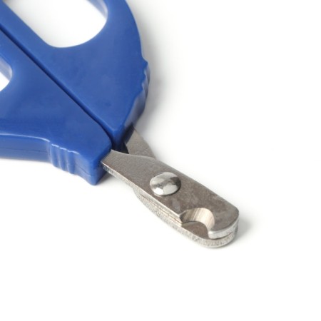 Small scissors are small with an emphasis for the finger, blue-2