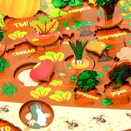 Set "Vegetables in the garden"-4