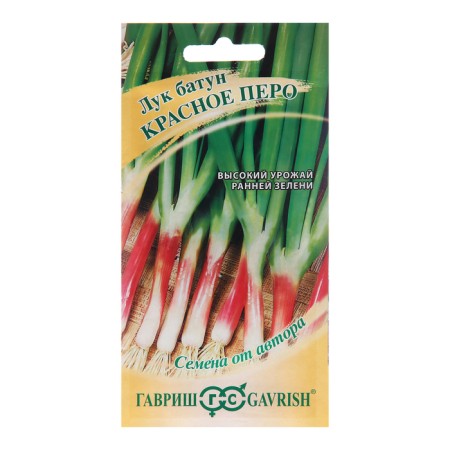 Semen onions "Red Pen", 1 g