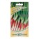 Semen onions "Red Pen", 1 g