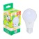 LED LED JAZZWAY, A60, E27, 11 W, 880 LM, 3000 K, PLED-ECO