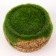 The base for the decor "Round Pot for Flowers" 7x8x8 cm