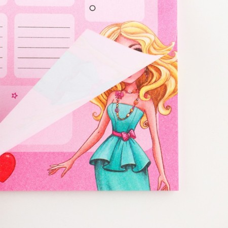 Planning schedule of A4 schoolboy, 30 sheets "Girl"-1