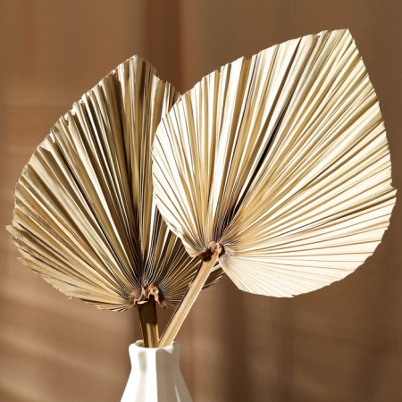 Dry flowers "Palm leaf", 52 × 20 × 2 cm-3