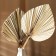 Dry flowers "Palm leaf", 52 × 20 × 2 cm