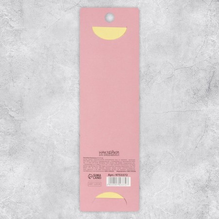 Paper stickers on the Small Lady substrate, for a diary of 6 × 21 cm-6