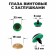 Rifle eyes with plugs, "sparkles" set 20 pcs, size 1 pcs: 2.2 cm, green color