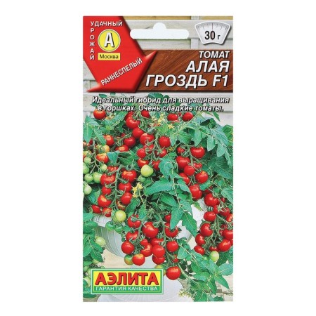 Semen Tomat "Scarlet Cun", F1, 10 pcs