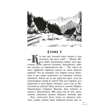 Прут. Тайна Серых пещер. Книга 1. Ильин С.-3