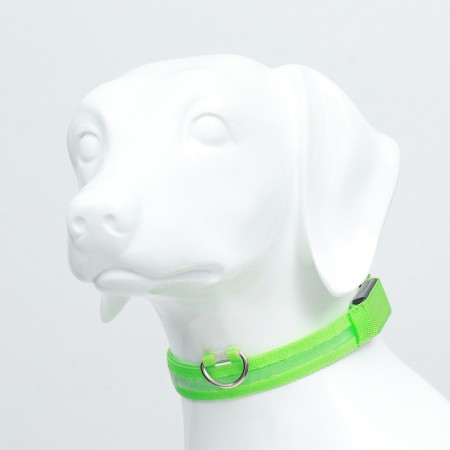 Collar with backlight size L, Osh 45-52 x 2.5 cm, 3 glow modes Green-2