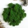The moss stabilized "light green" 45 gr (+-5 gr).